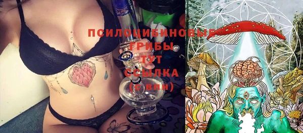 крисы Алзамай