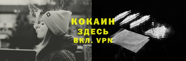 крисы Алзамай