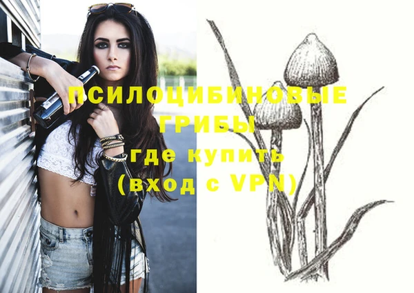 крисы Алзамай
