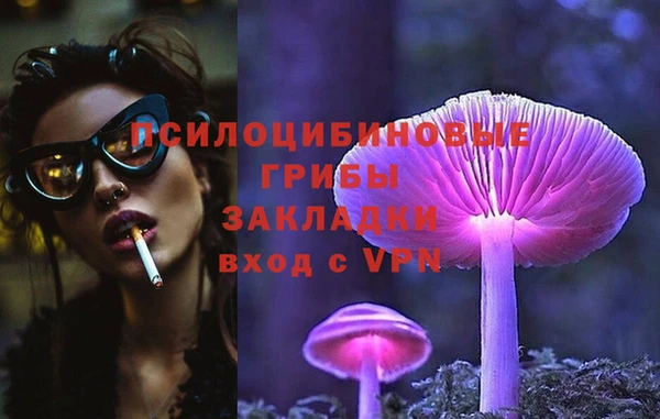 крисы Алзамай